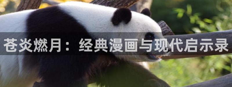 风车漫画官网网站