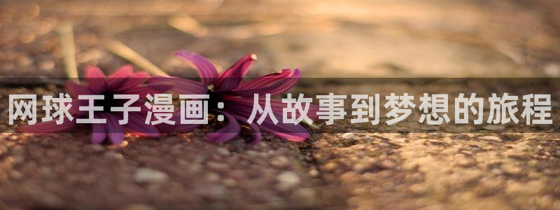 下载风车漫画app