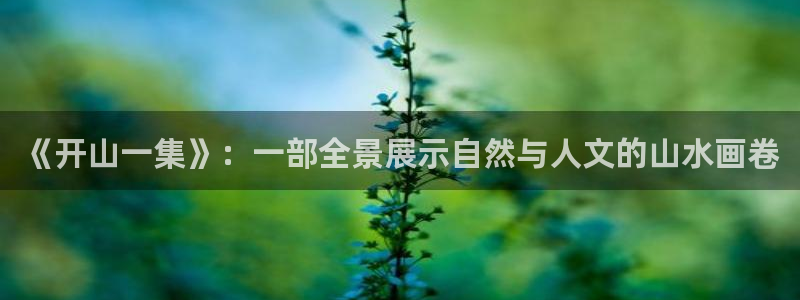 全知读者视角风车漫画